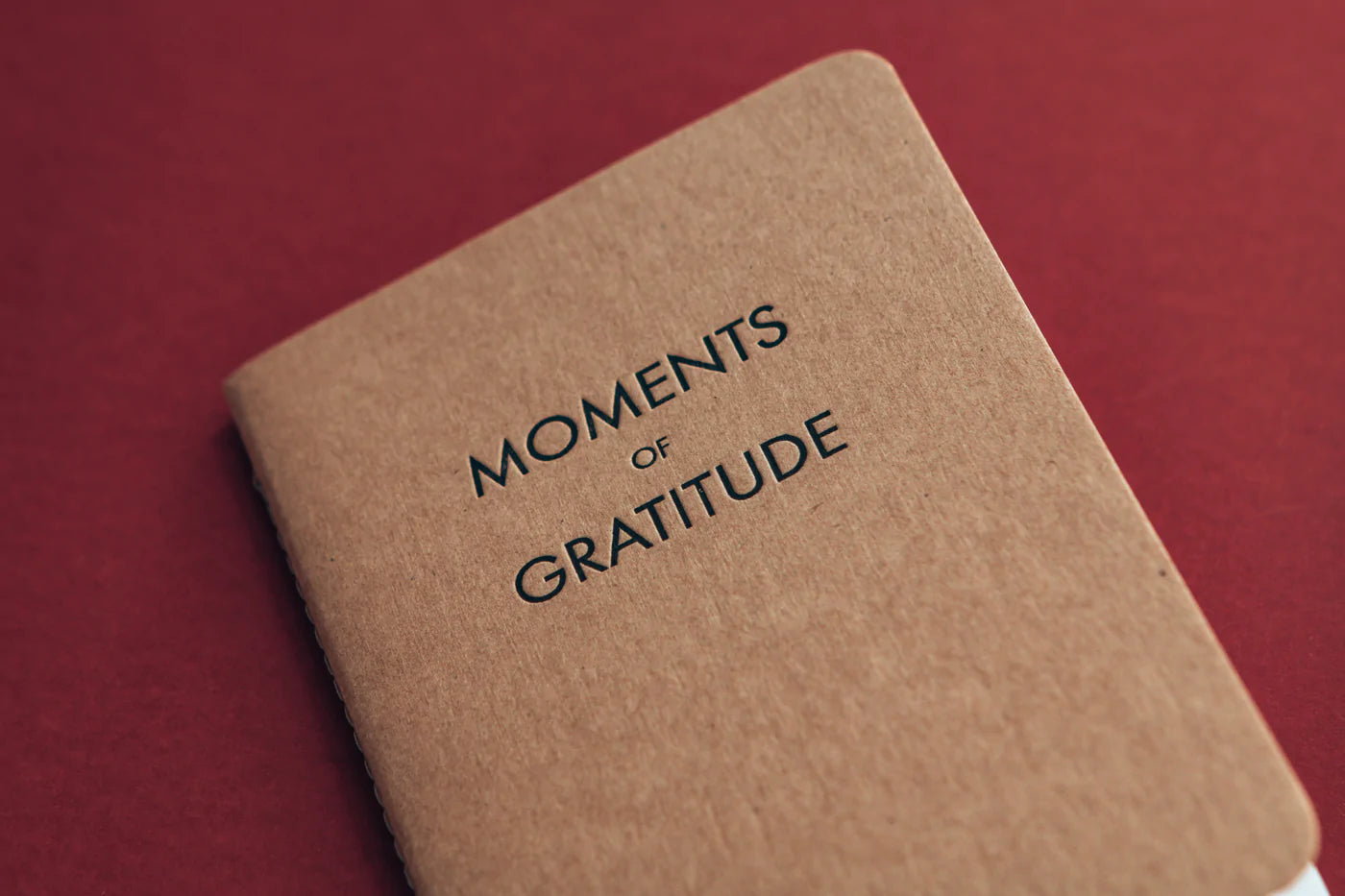 POCKET JOURNAL | GRATITUDE